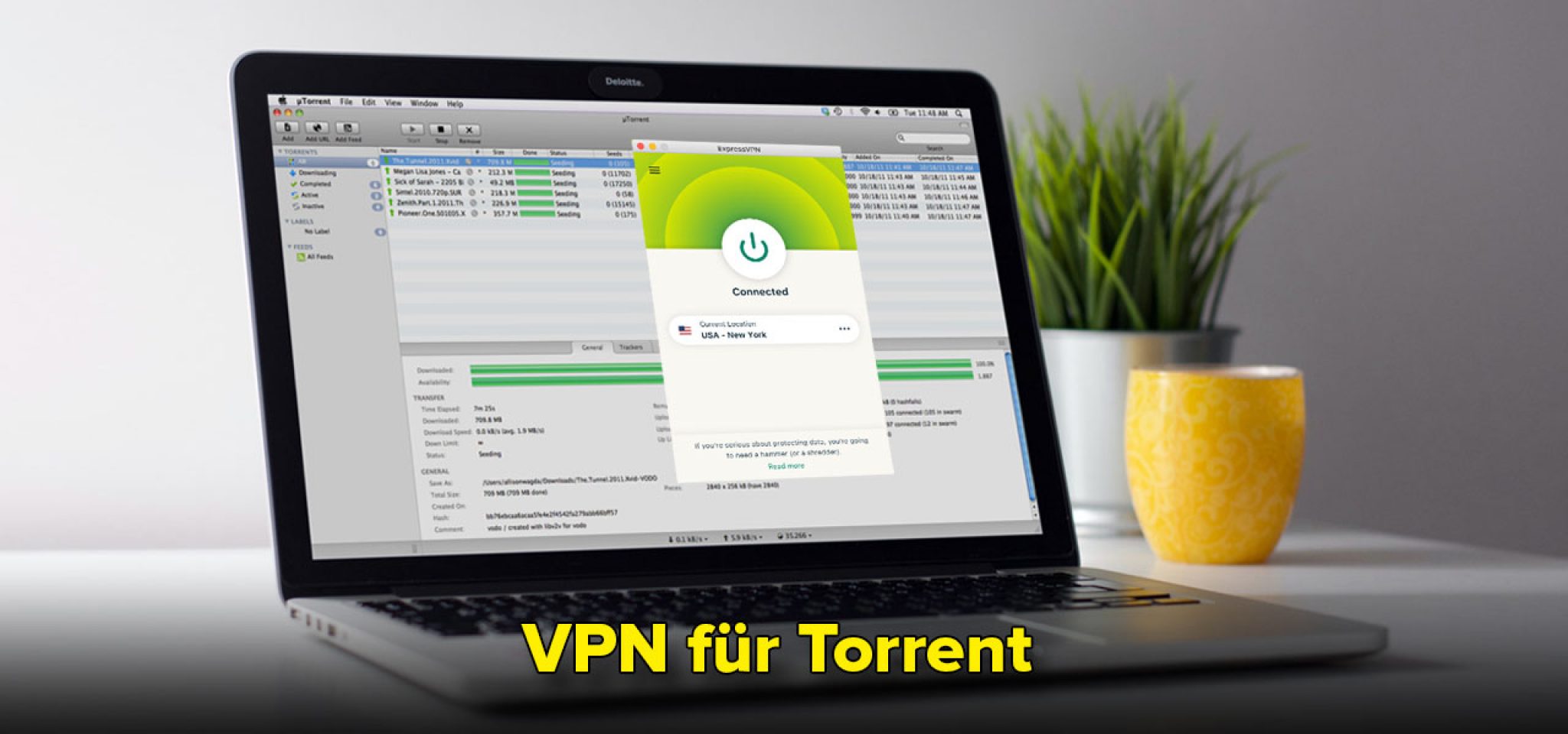 Expressvpn torrent indir